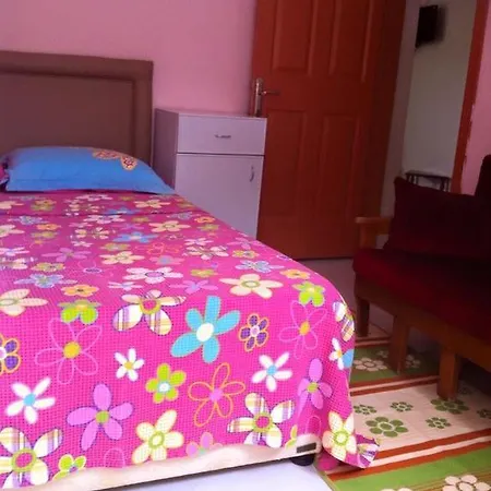 Villa Dayanak Evleri
